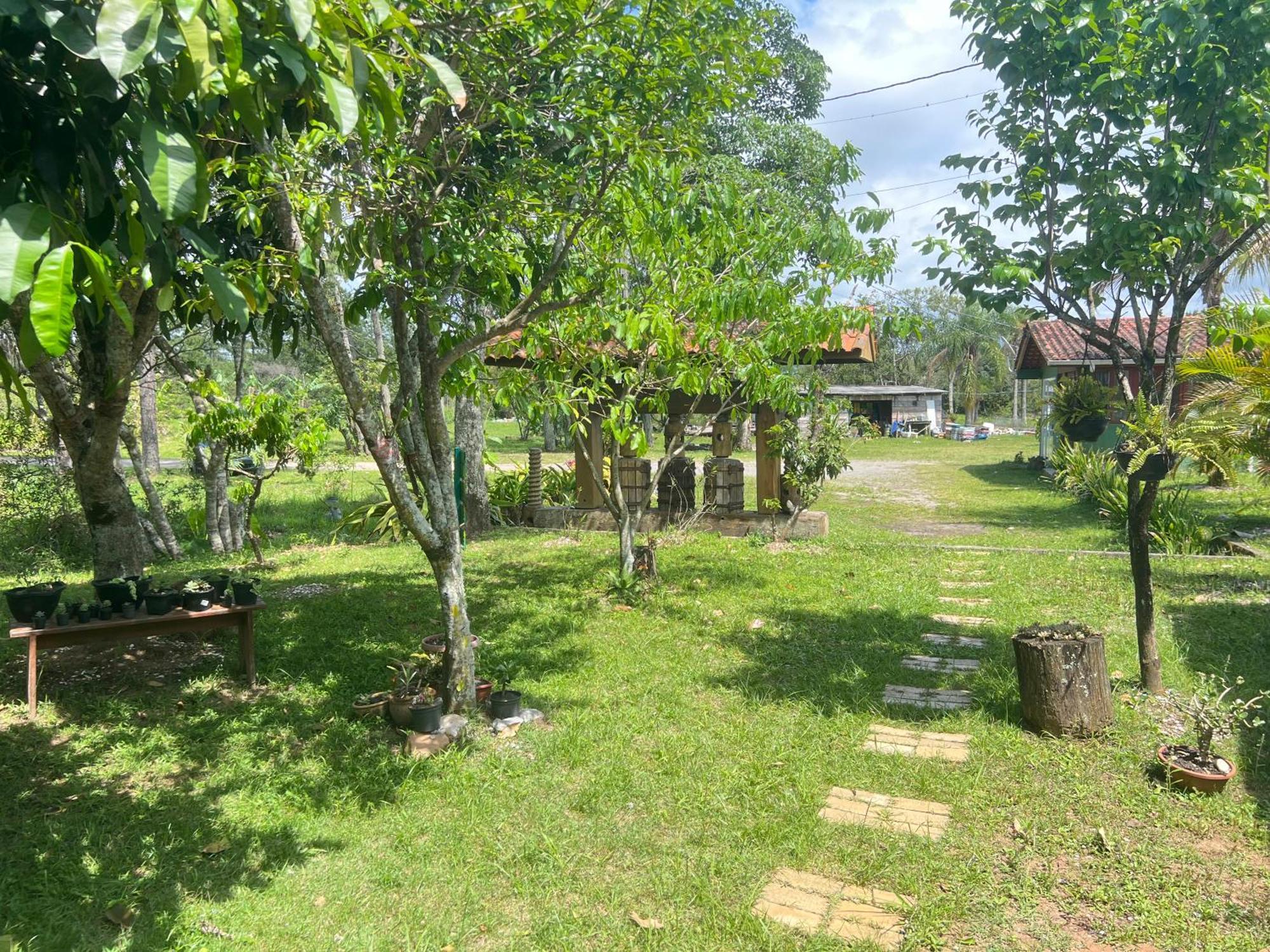 Guarda do Embaú Morada Fenix B&B 외부 사진